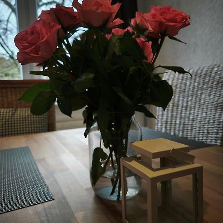 Hehlentor-City Gaeste Wohnung 첼레 외부 사진