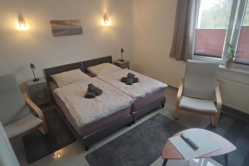 Hehlentor-City Gaeste Wohnung 첼레 외부 사진